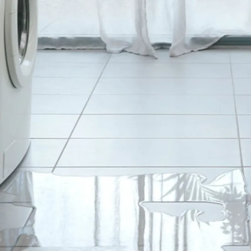 Appliance Leak Cleanup in Bergen, NY