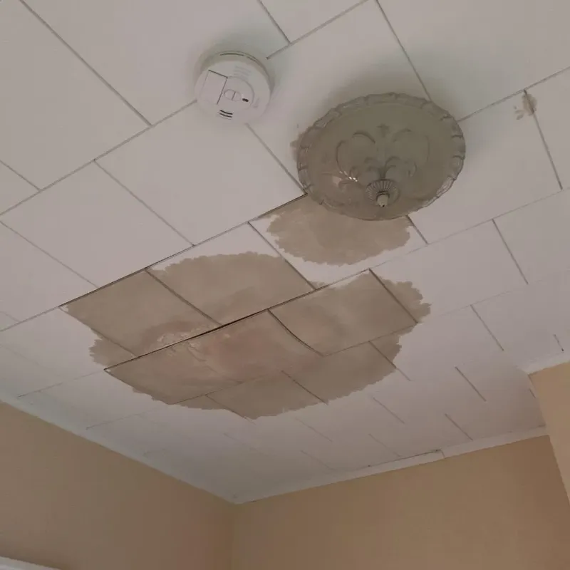 Ceiling Water Damage Repair in Bergen, NY