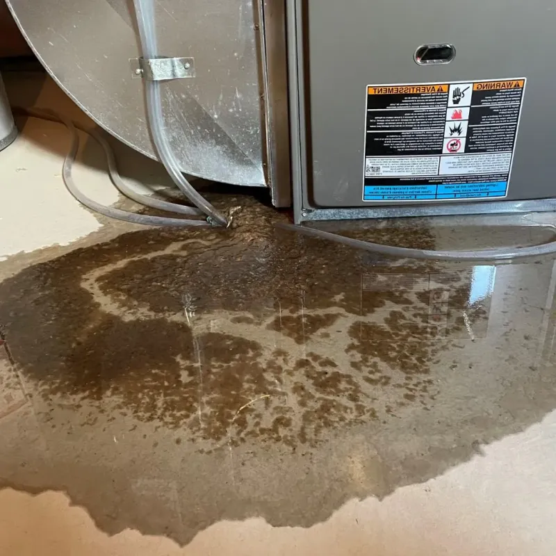 Pipe Burst and Leak Restoration in Bergen, NY