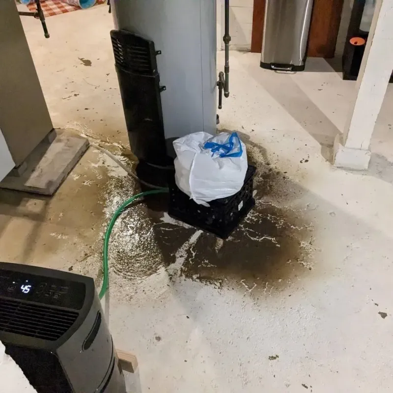 Sewage Backup Cleanup Service in Bergen, NY